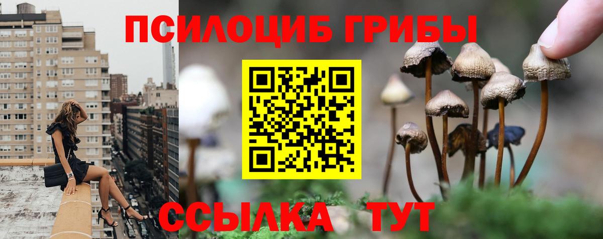 Галлюциногенные грибы прущие грибы Котельники